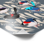 Fairy Wrens Fotodruck (Ecke)