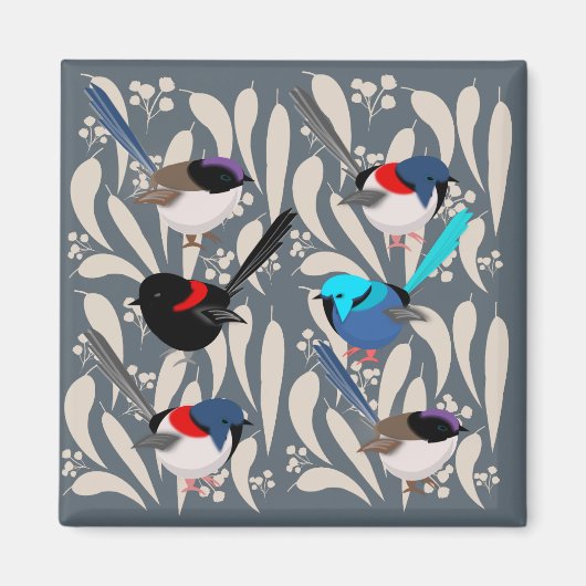 Fairy Wrens Magnet (Vorne)