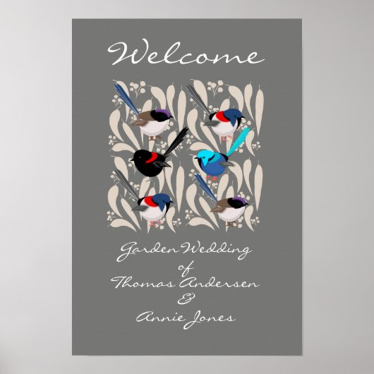 Fairy Wrens Poster (Vorne)