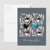 Fairy Wrens Postkarte (Vorne/Hinten)