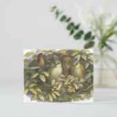 Fairyland, 1870 Fairy mit Eulen Postkarte (Stehend Vorderseite)