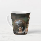 FAIRYS 11 MILCHTASSE (Linke Ecke)