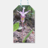 Fairyslipper Orchid-Blume Geschenkanhänger (Vorderseite)