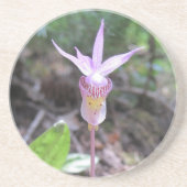 Fairyslipper Orchid-Blume Getränkeuntersetzer (Vorne)