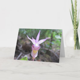 Fairyslipper Orchid-Blume Karte
