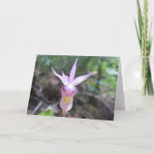 Fairyslipper Orchid-Blume Karte (Vorderseite)