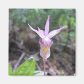 Fairyslipper Orchid-Blume Magnet (Vorne)