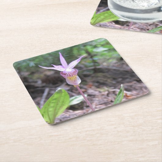 Fairyslipper Orchid-Blume Rechteckiger Pappuntersetzer (angewinkelt)