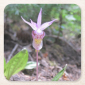 Fairyslipper Orchid-Blume Rechteckiger Pappuntersetzer (Vorderseite)