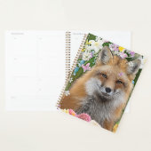 Fairytale Fox im Bereich der Blume Planer (Anzeige)