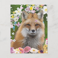 Fairytale Fox im Bereich der Blume