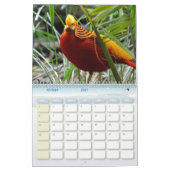 Faisan-Kalender Kalender (Feb 2027)