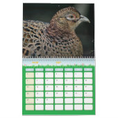 Faisan-Kalender Kalender (Mär 2027)