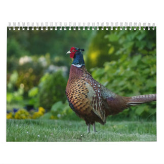 Faisan-Kalender Kalender