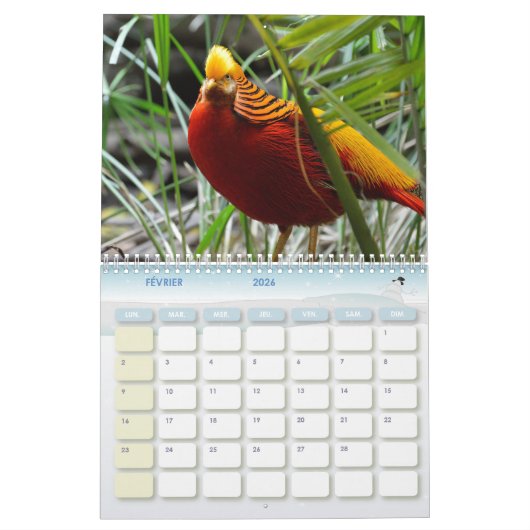 Faisan-Kalender Kalender (Feb 2026)
