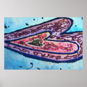 Faith Heart Poster Print