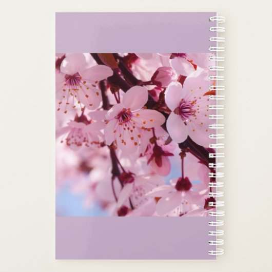 Faith Plananner 2019 Planer (Rückseite)