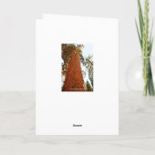 Faithful Couple Sequoia Trees, Happy Anniversary Karte (Rückseite)