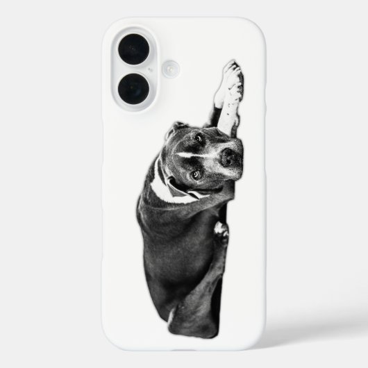 Faithful Eyes Pitbull Mix Portrait Phone Case (Rückseite)