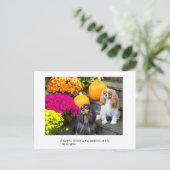 Faithful Friend Cavalier King Charles Postcard Postkarte (Stehend Vorderseite)