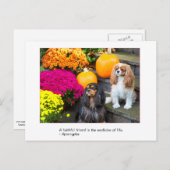 Faithful Friend Cavalier King Charles Postcard Postkarte (Vorne/Hinten)
