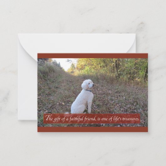 Faithful Friend Poodle Note Card Mitteilungskarte (Vorderseite)
