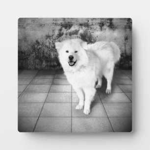 Faithful Liebe Plaque Fotoplatte