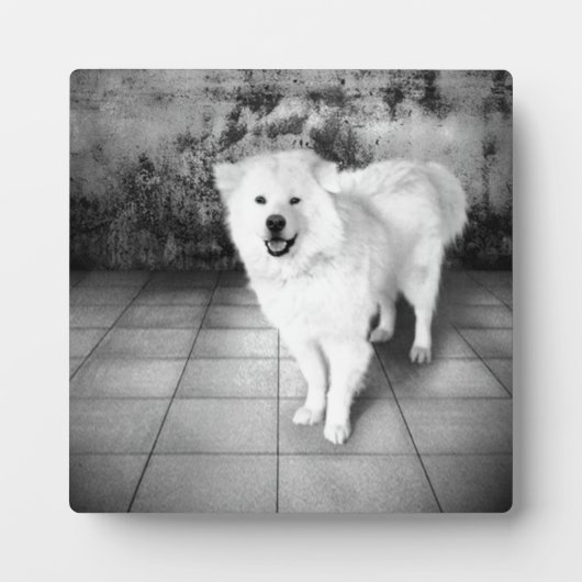 Faithful Liebe Plaque Fotoplatte (Vorderseite)