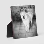 Faithful Liebe Plaque Fotoplatte (Vorderseite)