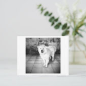 Faithful Liebe Postkarte (Stehend Vorderseite)