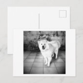 Faithful Liebe Postkarte (Vorne/Hinten)