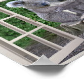 FAKE FENSTER FÜR BABY KOALA BEARS POSTER (Ecke)