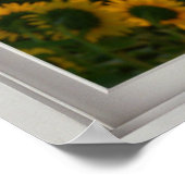 Fake Fensterblume Sonnenblumen Sonnenuntergang Lan Poster (Ecke)