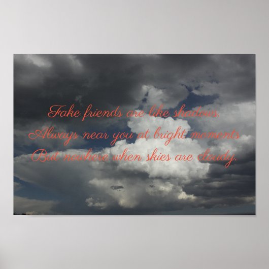 Fake Friends Poster (Vorne)