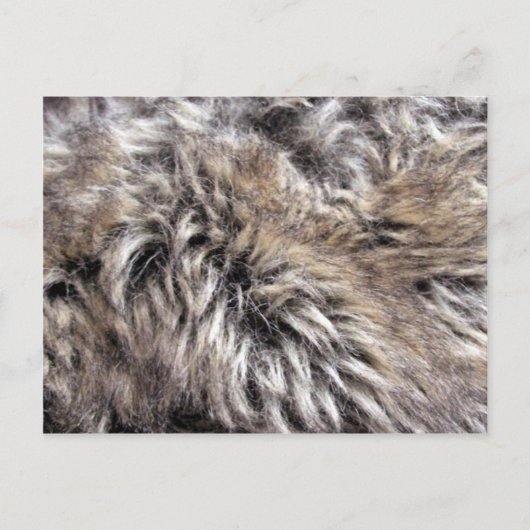 Fake Fur Textur Postkarte (Vorderseite)