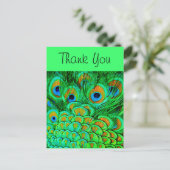 Fake Peacock Feathers Abstraktes Naturemuster Postkarte (Stehend Vorderseite)