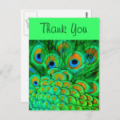 Fake Peacock Feathers Abstraktes Naturemuster Postkarte (Vorne/Hinten)