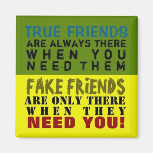 FAKE vs TRUE ~ Magnet Truismus (Vorne)