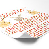 Fakten für die flämischen Riesenkaninchen Poster (Ecke)