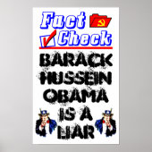 Faktischer Karo Poster (Vorne)