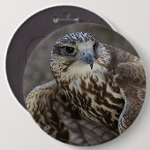 Falco cherrug button (Vorne & Hinten)
