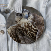 Falco cherrug button (Beispiel)