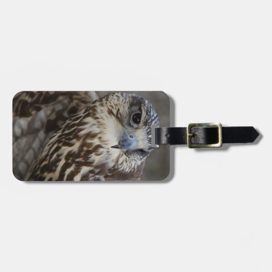 Falco cherrug gepäckanhänger (Vorderseite horizontal)