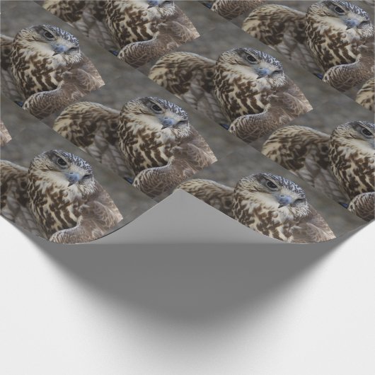 Falco cherrug geschenkpapier (Ecke)