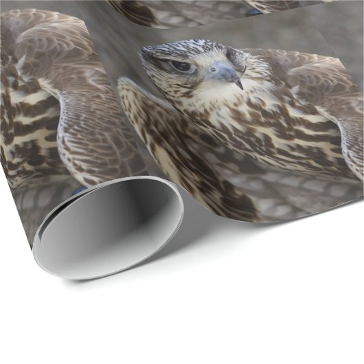 Falco cherrug geschenkpapier (Rolleneckpunkt)