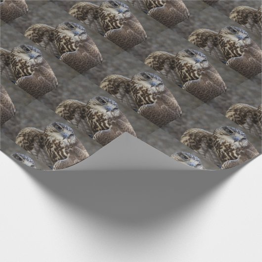 Falco cherrug geschenkpapier (Ecke)