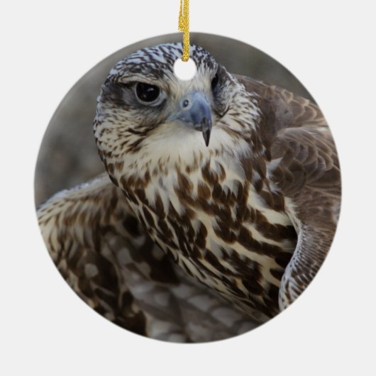 Falco cherrug keramik ornament (Hinten)