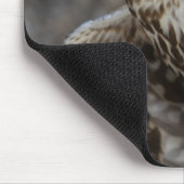 Falco cherrug mousepad (Ecke)