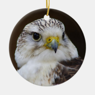 Falco cherrug Portrait Keramik Ornament