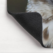 Falco cherrug Portrait Mousepad (Ecke)